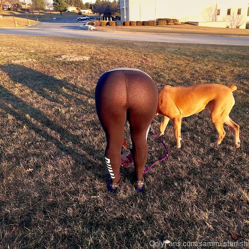 Taking the dog for a walk in the park 😉 4