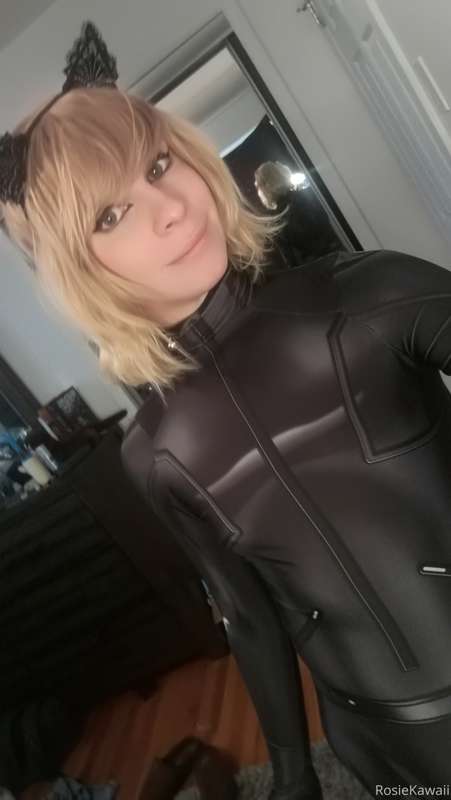 cat noir set 1/4 x :3 3