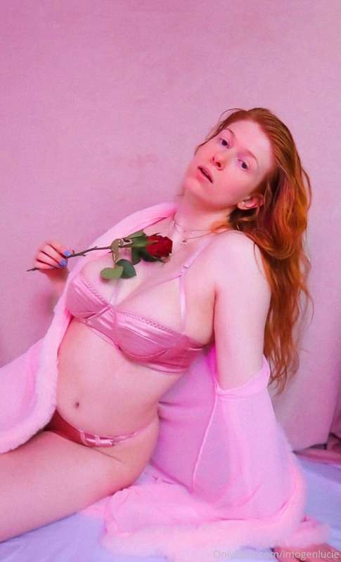 🌹🌹🌹