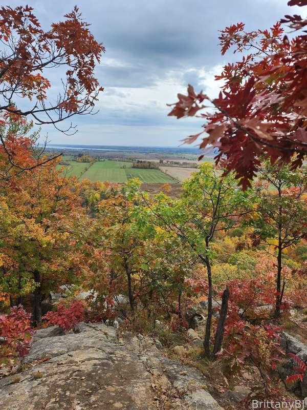 Scarlet-Winters - Fansly - 14 Oct, 2022 1