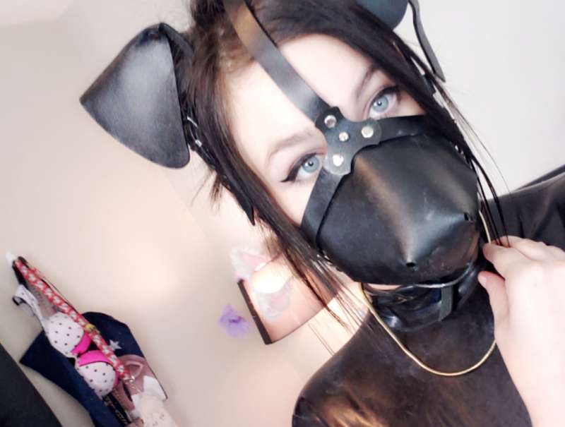 Pup mask
