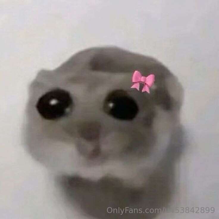 I’m really, really sorry—I honestly didn’t expect something .. 2