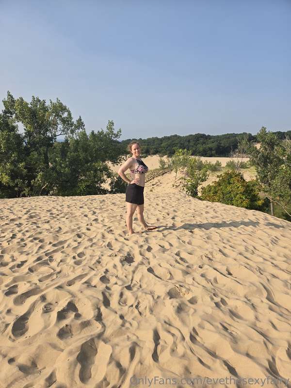 I spent the day at Warren Dunes State Park with no cell phon..