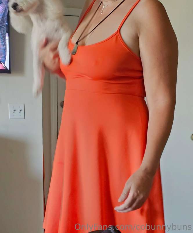 Pokies