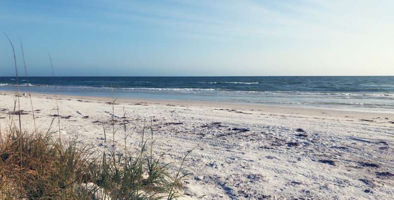Our beaches opened yesterday. I wasn't able to go because I .. 1