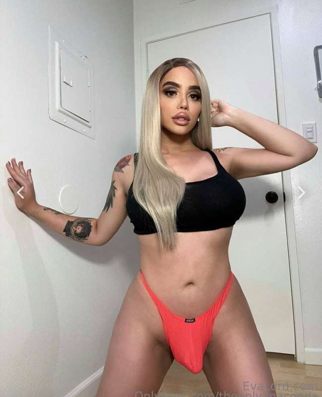 Are you into HORSECOCKS? 🍆
https://onlyfans.com/theonlyanaco..