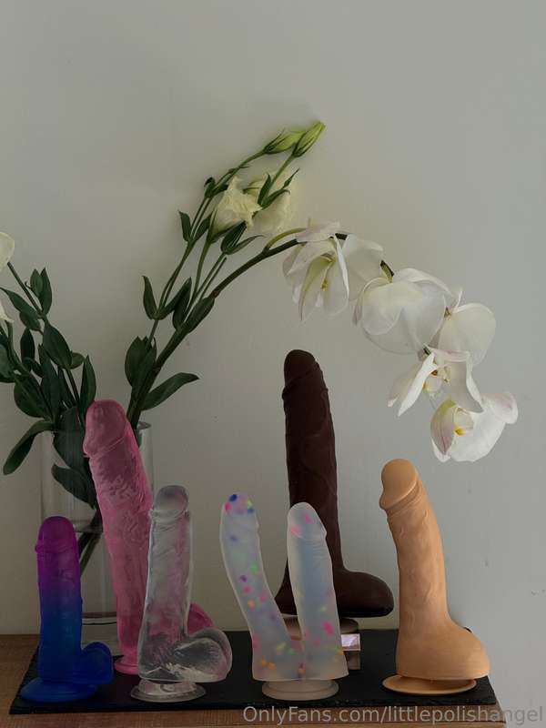 My little collection, which one should I play with more ofte..