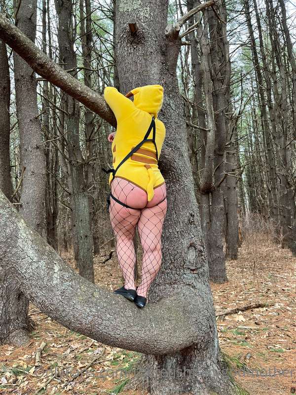 Peggachu!!! In the wild being feral!! 20