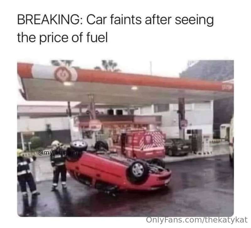 Meme of the Day!