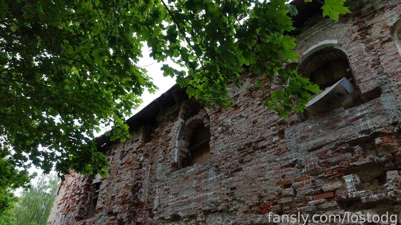 Lostodg - Fansly - 30 May, 2023 4