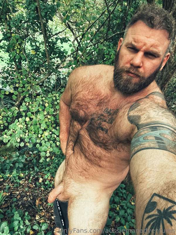 What should you do when you come across a Bear out in the wi..