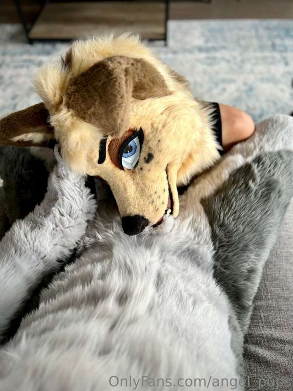 Don’t talk with your muzzle full sweetie 😘 2
