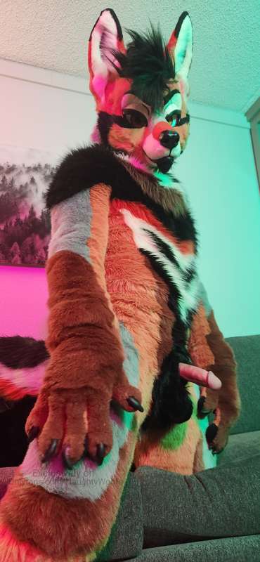 Come touch some yote balls 😘 3