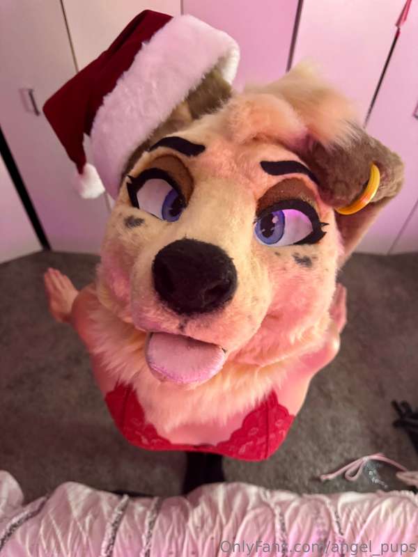 Some fun Christmas puppy content coming this week 🎄😘 2