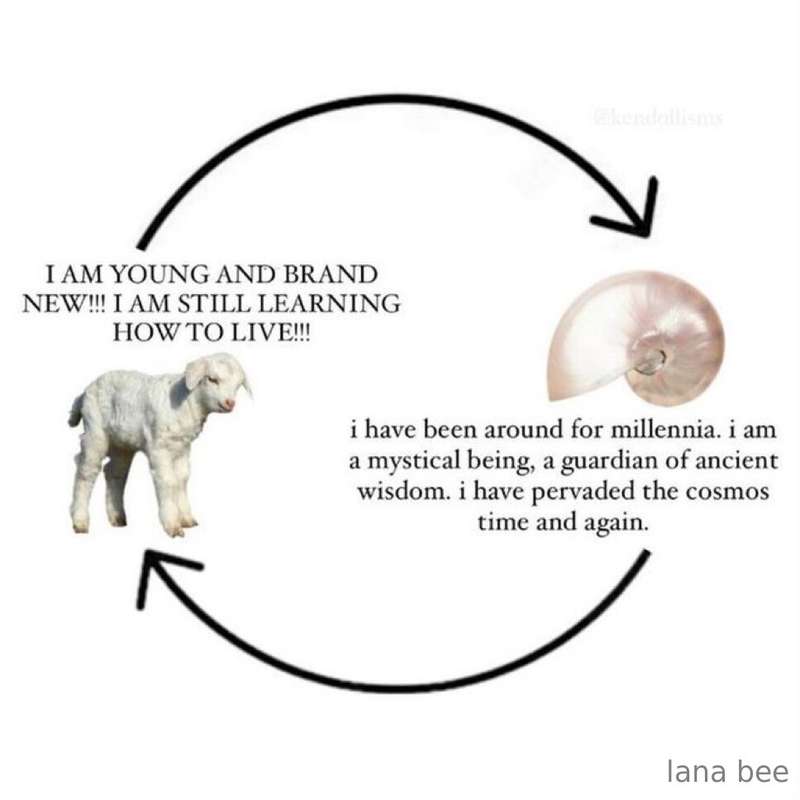 Meme dump :3 18