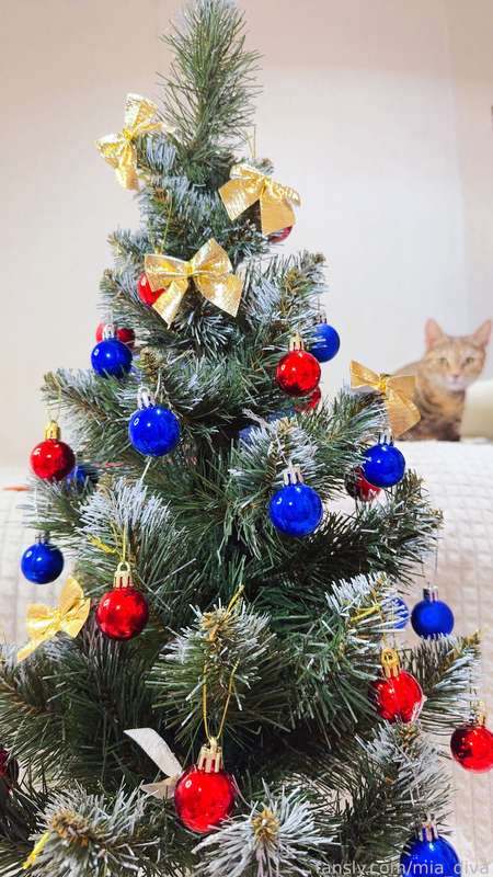 Mia_Dddd - Fansly - 22 Dec, 2024 6