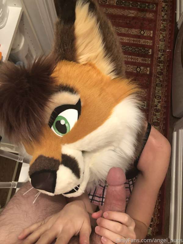 Good vixen at your service ~ 3