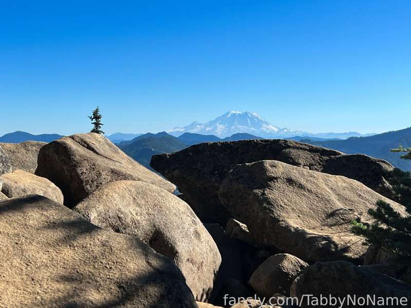 Tabbynoname - Fansly - 19 Aug, 2022