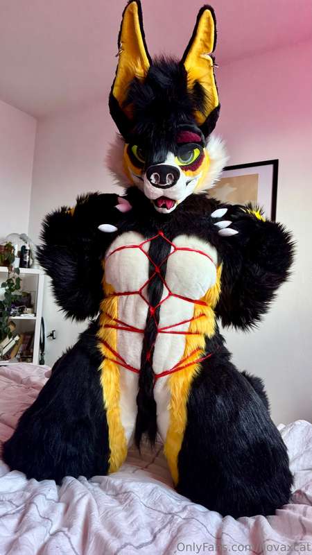 New fullsuit video this week 💕
