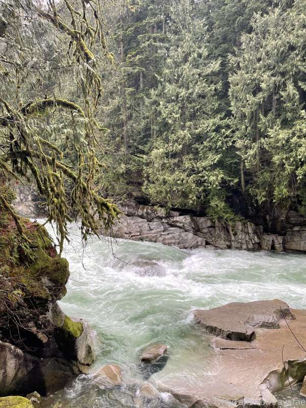 found a pretty river

warning//might make you uncomfy.
This ..