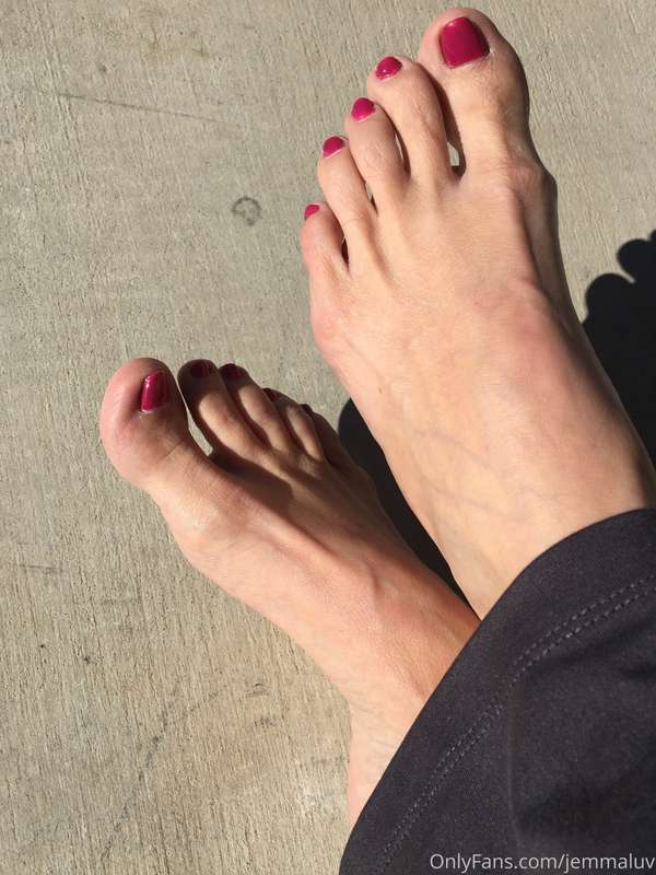 My lovely 💕 pink piggies basking in the sunshine! Tip this p.. 1