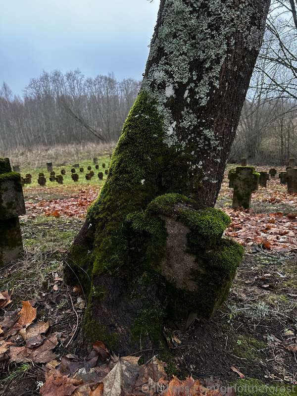 Today my friend and I went searching for a German cemetery f.. 2