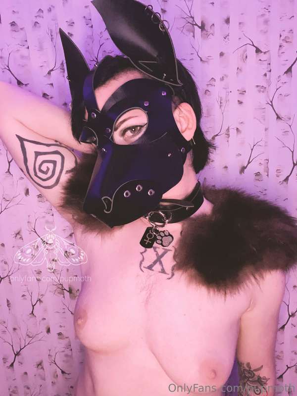 Feral but breedable. 3