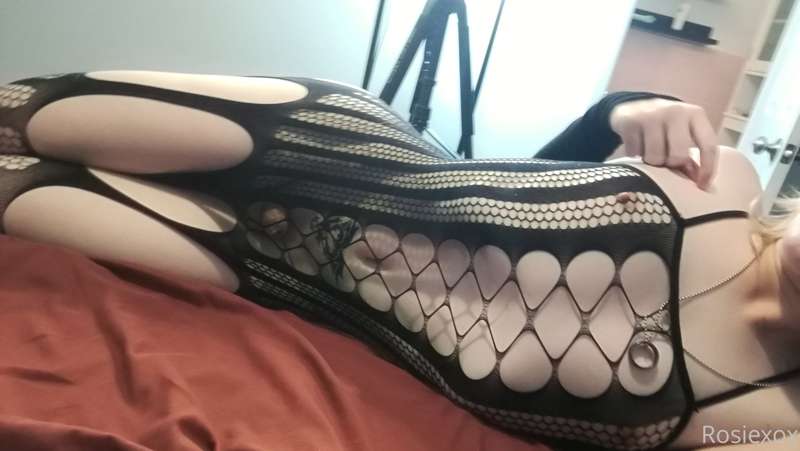 Full Body Fishnet Set 2/8 x 20