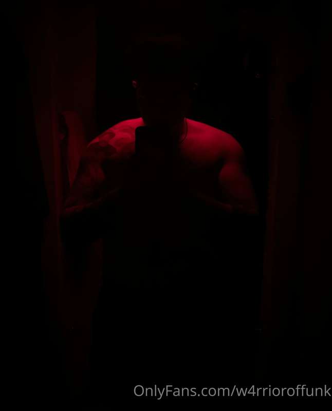Silhouette of a king