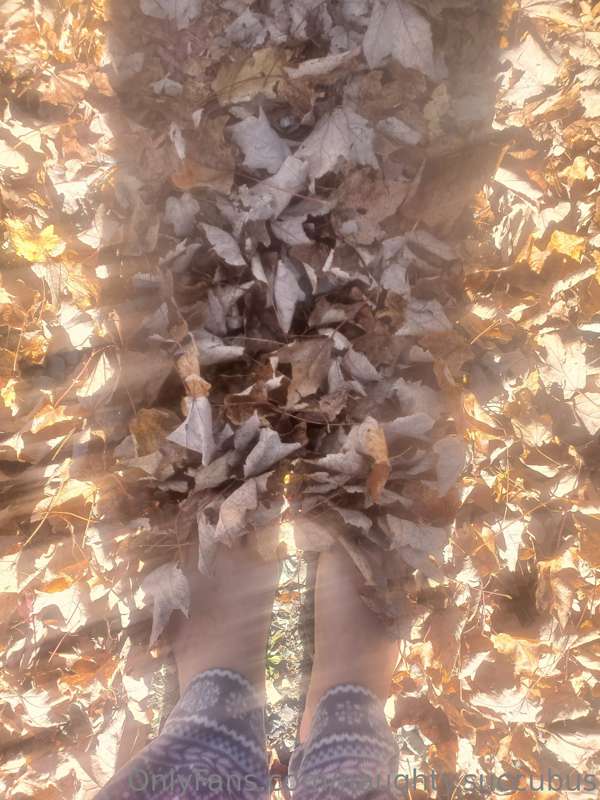 Look crunchy leaves