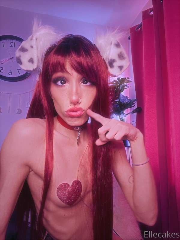Tell me a I’m a cute puppy and maybe I’ll do one more valent..