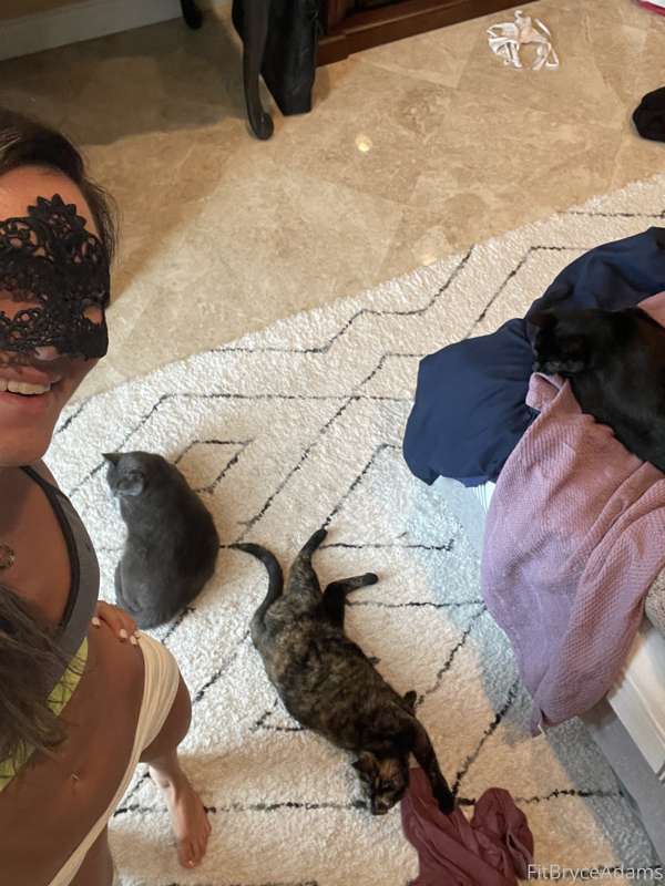 I have a hoard of cats.