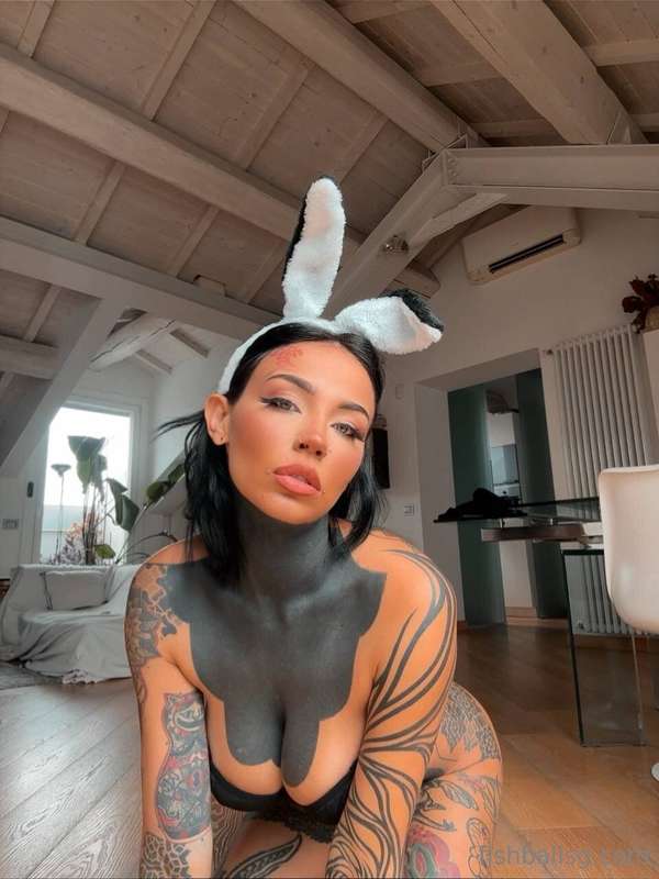 Scusate, qualcuno ha visto un coniglio nero? 🐇💗 1