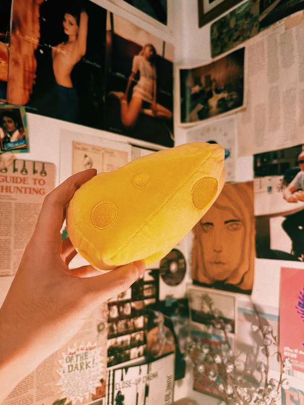 🧀 | wanna get some cheese 🧀 ?