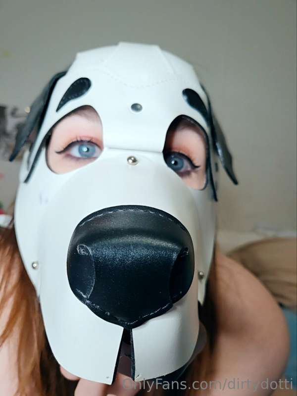Giving paws like a good girl.