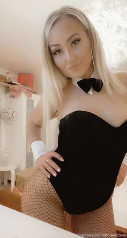 🐰