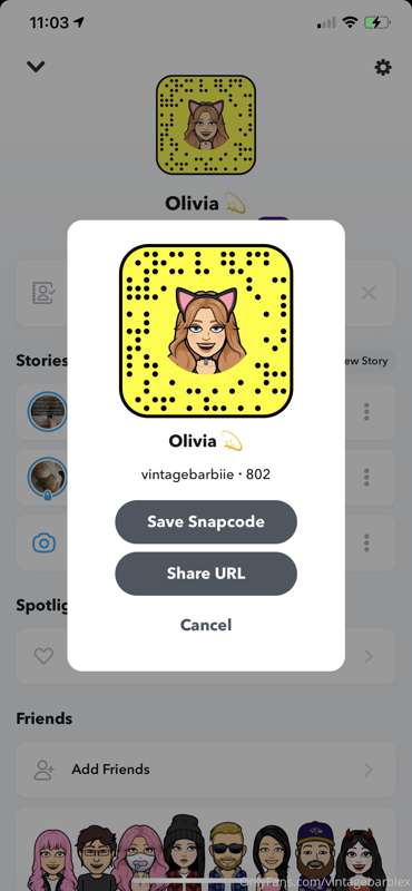 New service: Snapchat Premium- $8/month or $35 LIFETIME!
Wan..