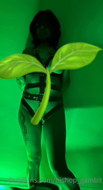DM for a Kinky collection 1