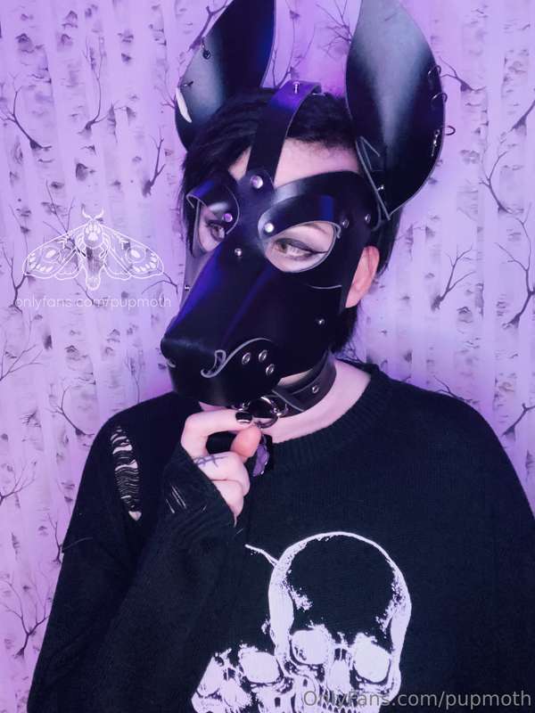 Thinking about what this pup should do for his next video. W..