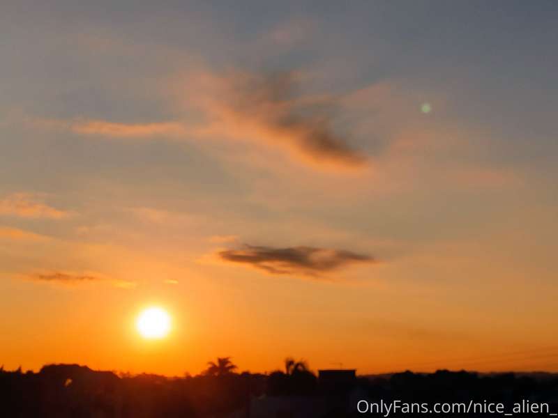 From my window