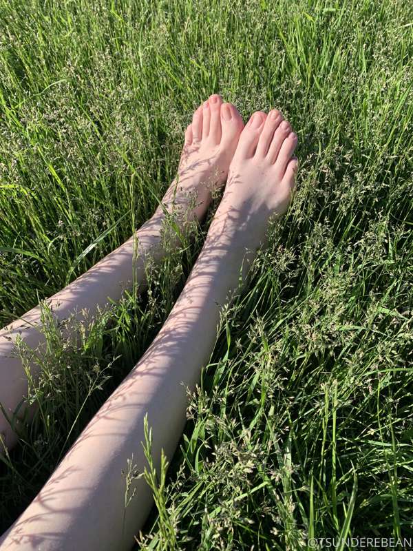 Have a good Sun🌻day!