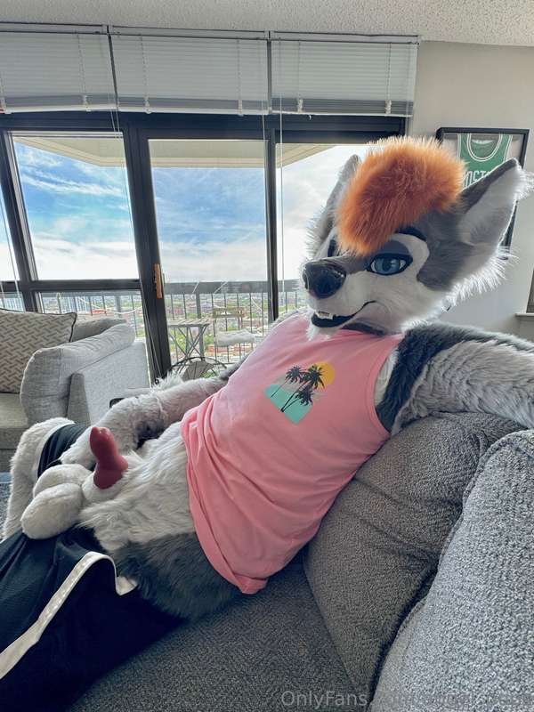 Hanging out and your wolf bro gives you the look 👀💦