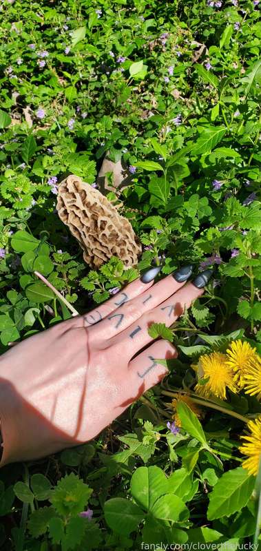 Cloverthelucky - Fansly - 12 May, 2025 9