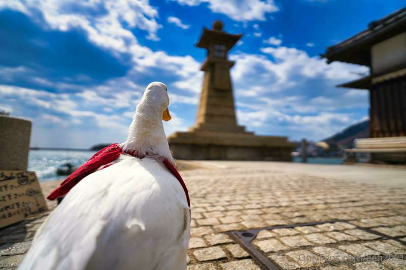 鞆の浦・呉その2 16