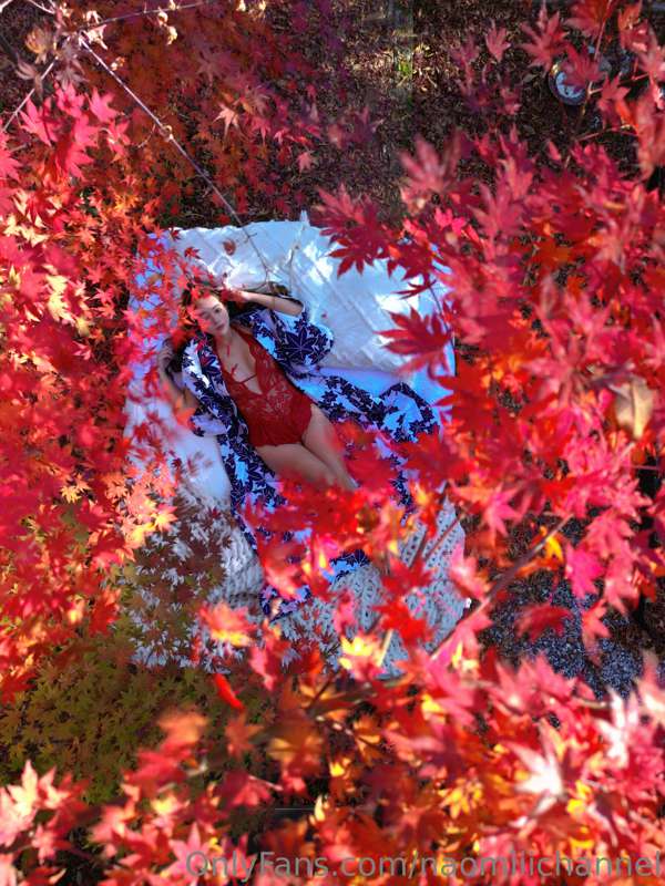 🍁🍁🍁❤️‍🔥 12
