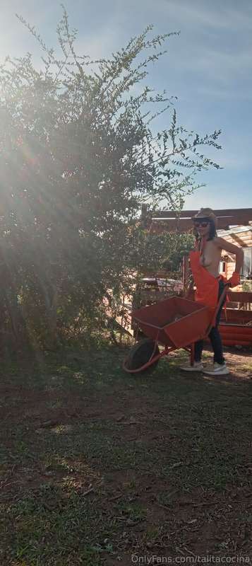 #lagranjadetalita❤️👩‍🍳🐴🐎🐂🐯🐥🐤🍯🐃🐓🌽🌱💚✨️✨️✨️✨️🪄🐣🙌💕 2