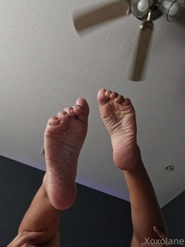Trying to tempt into giving me an early morning worship 👣 4