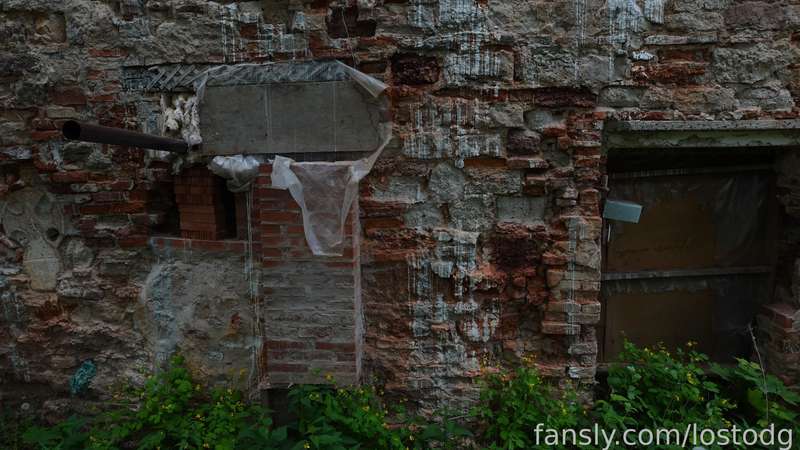Lostodg - Fansly - 30 May, 2023 8