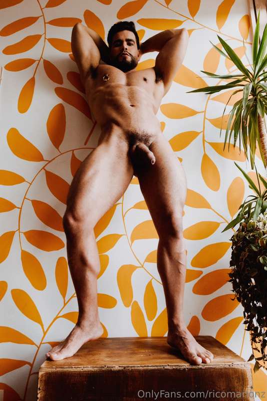 Part 2 - Jungle Studio 13