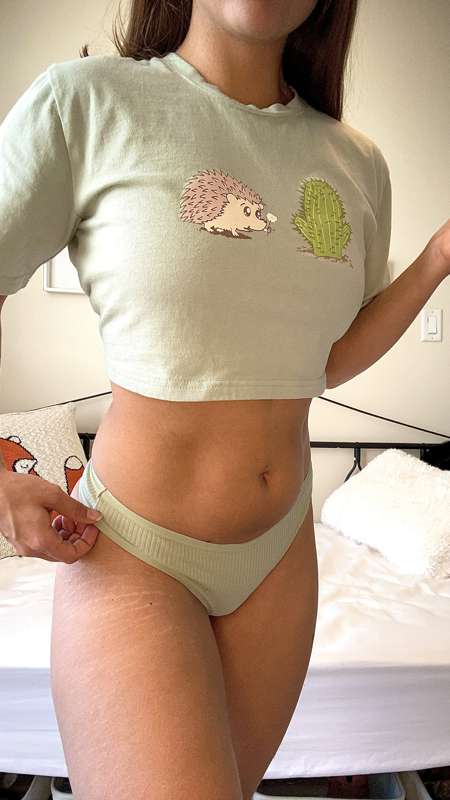 🌵🦔